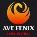 Ave Fenix Control de Plagas Urbanas