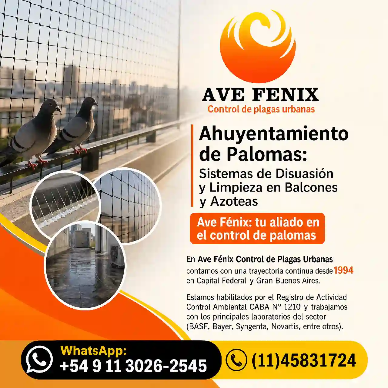 Ahuyentamiento de Palomas: Sistemas de Disuasión y Limpieza en Balcones y Azoteas