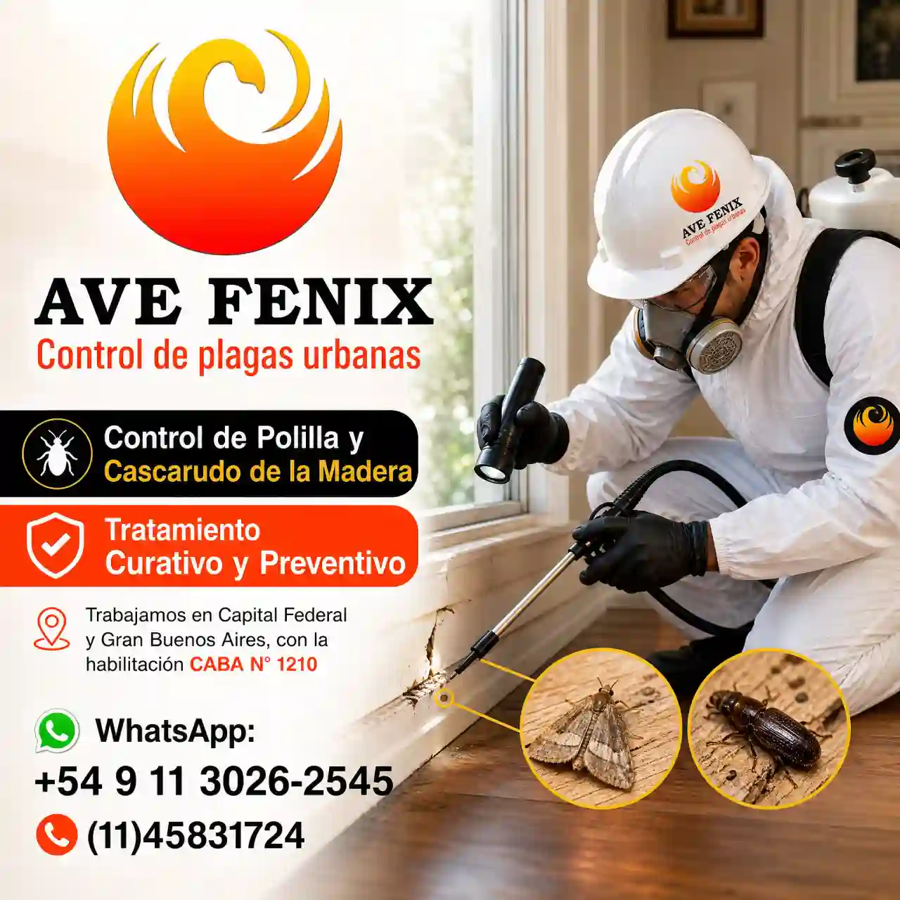 Control de Polilla y Cascarudo de la Madera