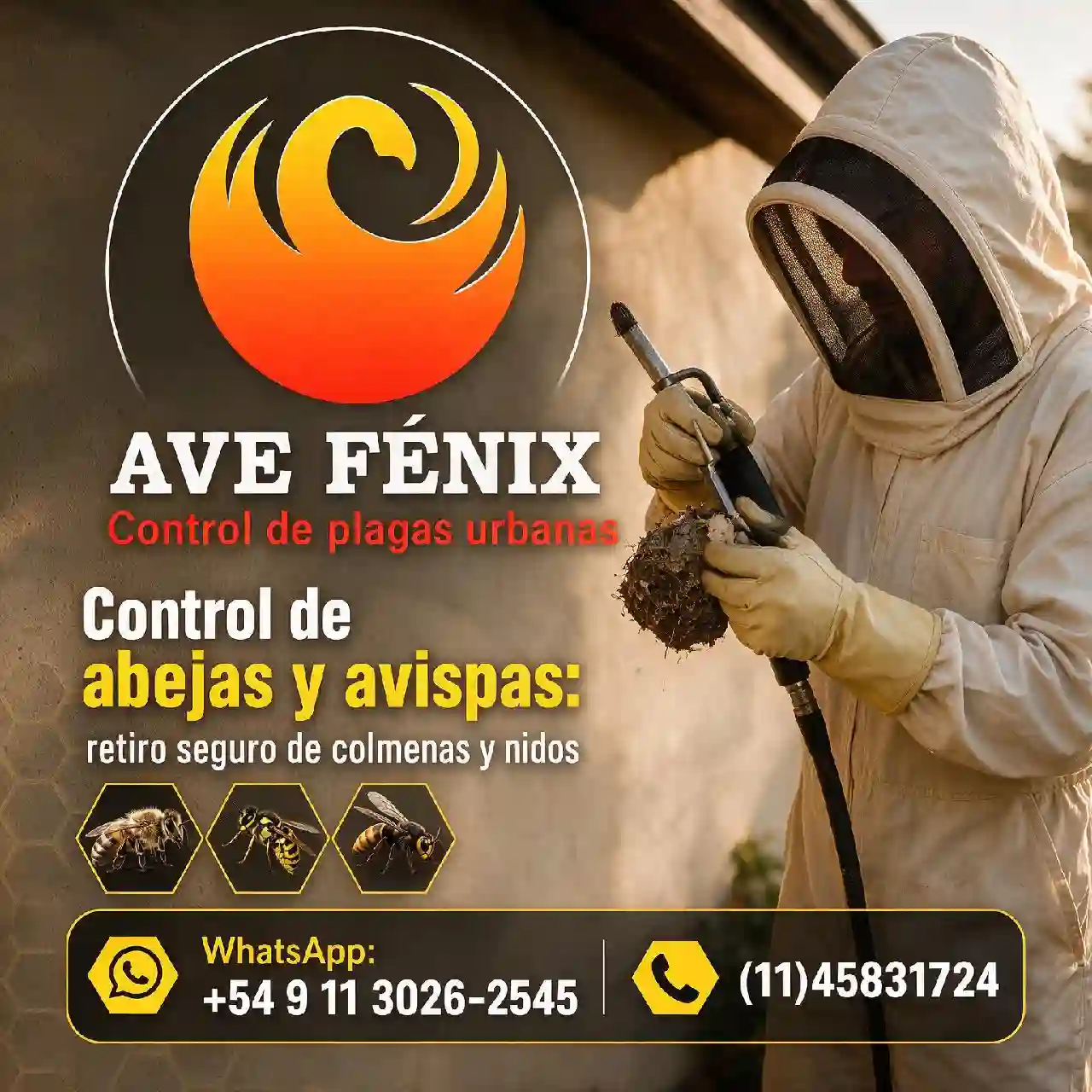 Control de abejas y avispas: retiro seguro de colmenas y nidos