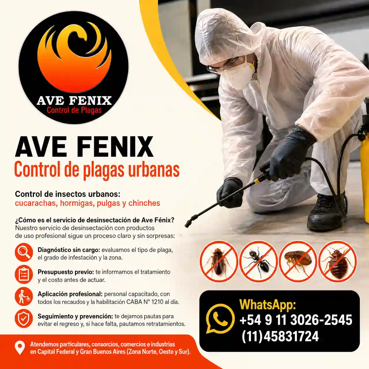 Control de insectos urbanos: cucarachas, hormigas, pulgas y chinches